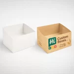 Selected Box Style