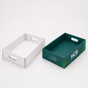 Empty white and teal cardboard tray packaging with die-cut handles.