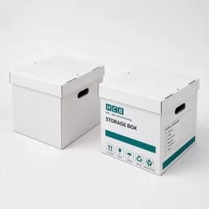 Storage boxes with lids for secure and dust-free organization