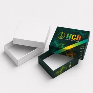 Custom vape packaging boxes with branded printing for retail presentation