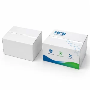 Custom calcium tablet boxes with logo for secure healthcare product packaging